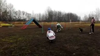 VID 20151104 113702