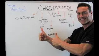 The Benefits of Cholesterol.