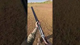 I went on a quail hunt with my new side by side shotgun #quailhunting #huntingseason #youtubeshorts