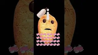 comendo um sab&atilde;o com shampoo😋