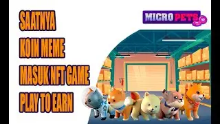 NFT GAME BERTEMA MEME TOKEN - MICROPET REVIEW