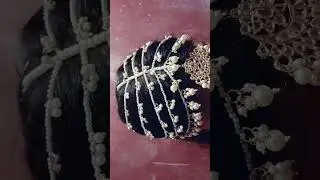 Diy Mang Tikka/ matha patti / mang tikka kaise banaye /jewellery making at Home/Beads/jewellery