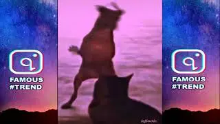 What The Dog Doin! Low - Flo Rida & T-Pain - Tik Tok Remix #reels