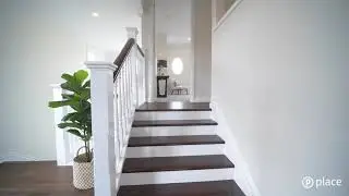 46 Newman Avenue, Camp Hill :: Place Estate Agents | Brisbane Real Estate For Sale