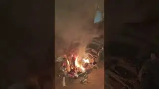 Snake Fire Craker, #shaappathaka #firecracker #diwali #chhathpooja
