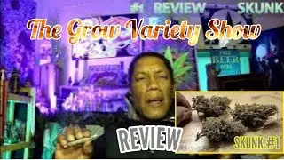 Обзор сорта Skunk #1 (The Grow Variety Show, выпуск 307)