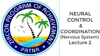 NEURAL CONTROL AND COORDINATION lecture 2
