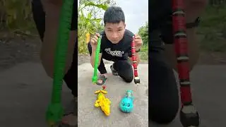 Do you love these reptiles