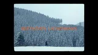Moritz Winkelmann &ndash; Beethoven Lachenmann (Official Album Trailer)