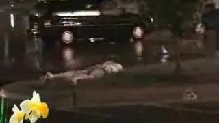 Unfortunate Mishaps