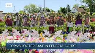 Case against Tops shooter continues moving in federal court