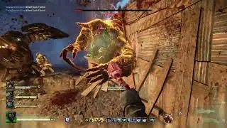 Warhammer 40000  Darktide Dark Communion / H40 / Rotten Armor + Rampage