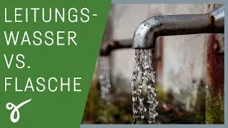 Ist Leitungswasser gesünder, als Wasser aus der Flasche? | Gerne Gesund