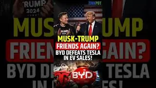 MUSK TRUMP FRIENDS AGAIN? AS BYD DEFEATS TESLA IN EV SALES! #Tesla #BYD #ElectricCars #EV #EVNews