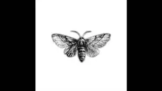 Hello Moth - No One / Old Pain (Audio)