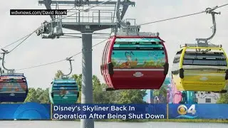 Disney's Skyliner Back In Operation After Shut Down