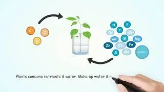 Hydroponic Nutrient Management- Easily, Professionally
