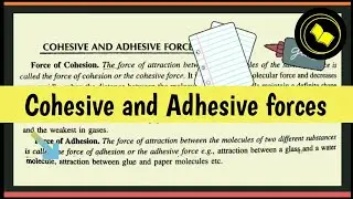Cohesive and Adhesive forces.