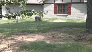 Ada homeowner blames city for flood damage