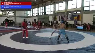 9th World Championship 2023 Pangration Athlima   DAY 3 FINAL -85 kgr-PLERIS AGON,1st place