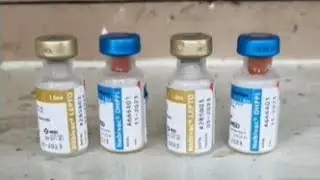 Kombai Dog Rolex & Kayal's Vaccination || 1st Dose || Vaccination Details || #vaccination