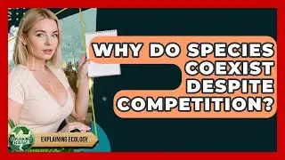 Why Do Species Coexist Despite Competition? - Explaining Ecology