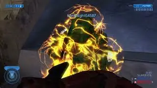 HALO 2 CLASSIC FFA#891