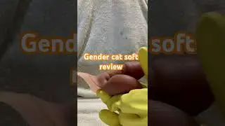 Soft gendercat review. feel free to drop any questions down below!