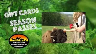 A peek at Hidden Valley Animal Adventure