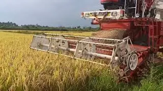Paddy Harvesting Performance - Massey Ferguson 9500 Smart Harvester