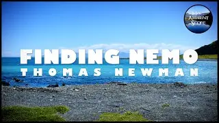 Finding Nemo | Calm Continuous Mix
