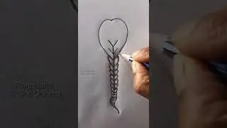 #Girl #hairstyle #backhairstyle #drawing #Y #letters #rongdhonuartanddrawing