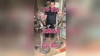 龙腾四海，五爪金龙