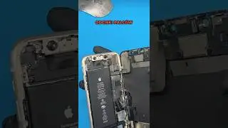 Wymiana ekranu w iPhone 11, jak zrobić to samemu ? 📱🍏 #iphone #serwisiphone #apple
