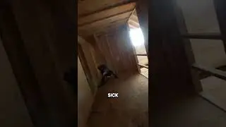 Gun Game in Bodycam is Unreal! #bodycamgame #shorts