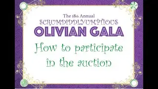 How to participate in the Olivia's House Virtual Auction
