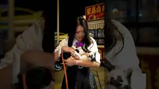 Cat Got Scared After Nina Carries Her 🤣