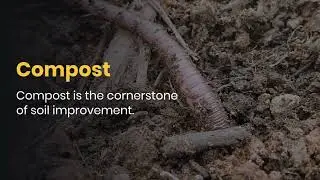 5 Soil Improvement Techniques
