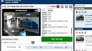 Live Car Auction - Manheim Massachusett