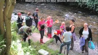 Morecambe Bay - A Wealth of Wildlife Project