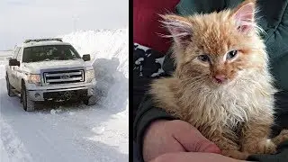 Policeman Saves A Kitten Frozen In Chunk of Ice.