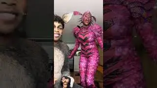 Meet The Diva Dragon
