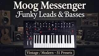 Moog MESSENGER / Funky Leads & Basses