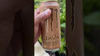 Loca Moca Java Monster Coffee Energy Drink 200mg Caffeine ☕️ Happy Monday