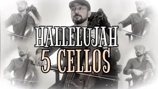 🎻 Hallelujah – Leonard Cohen | Versión para 5 chelos (Cello Cover)