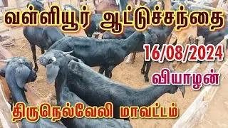 வள்ளியூர் ஆட்டுச்சந்தை Goat Market Valliyur 16/08/24