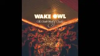 Wake Owl - Desert Flowers [Audio Stream]