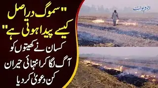 Reason Behind Smog Revealed | Burning Of Crops Causing Air Pollution