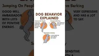 [🐾Dog Behavior EXPLAINED! Understand Your Pet's Actions🐕] #pets