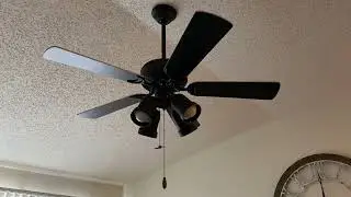 42” Gulf Coast Dixie Belle (2023 remake and review video)